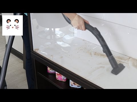 Видео: 🚮 Vlog #14. Генеральная уборка витрины хомяка Микса. Cleaning of the showcase of the hamster.