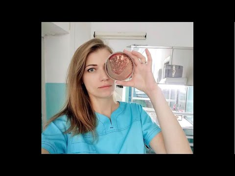 Видео: Куда пойти работать микробиологу? Области микробиологии, требования, и специфика работы в них.