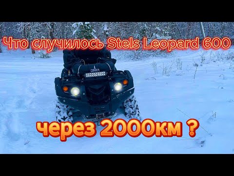 Видео: 🔥Что случилось со STELS LEOPARD 600 | За 2000тыс км? 🔥