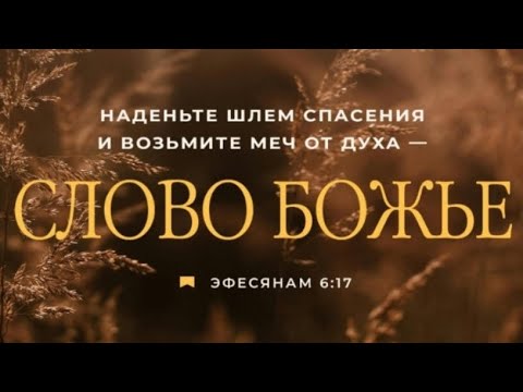 Видео: Чтение библии Меч Духовный 12ноября 2025