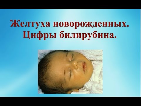 Видео: Желтуха новорожденных. Цифры билирубина. © Шилова Наталия.