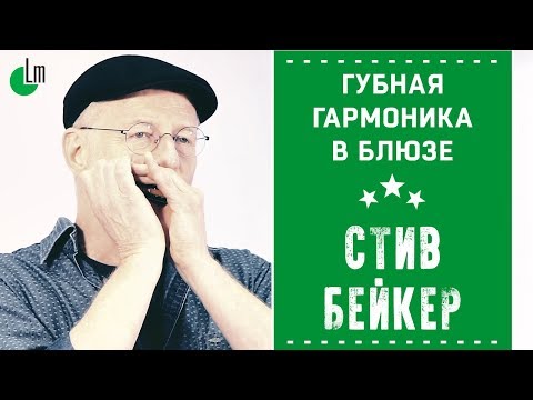 Видео: Губная гармоника в блюзе | Стив Бейкер