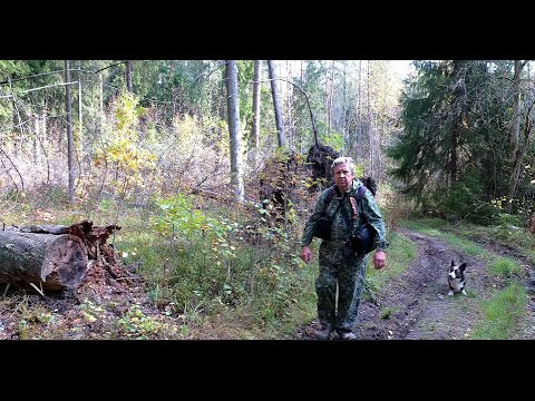 Видео: Октябрь уж наступил ...