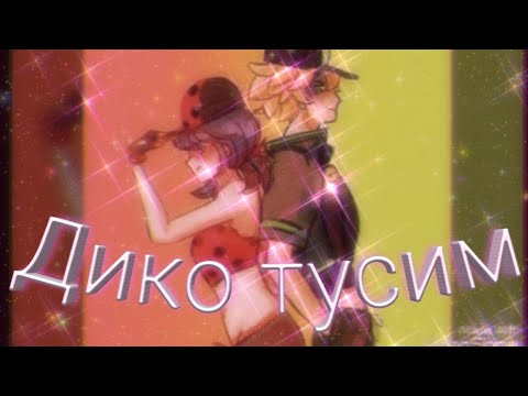 Видео: Заказной клип Леди баг и Супер кот на песню "Дико тусим"