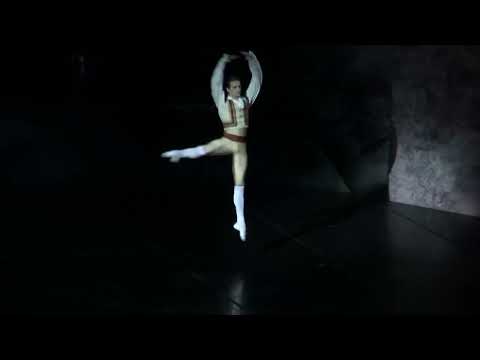 Видео: Дон Кихот. Мария Бек & Иван Михалев