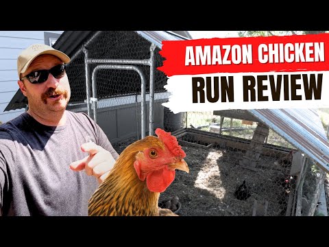 Видео: Обзор Amazon Chicken Run | 18 месяцев спустя