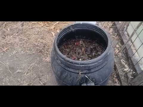 Видео: Оздоравливаю органические грядки осенью 31 10 25