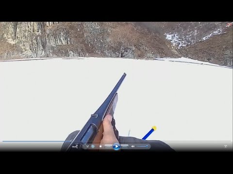 Видео: Ружье МЦ 20- 01 Отстрел пулями и картечью