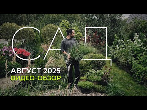 Видео: ОБЗОР САДА. АВГУСТ 2025