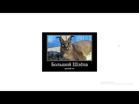 Видео: Александр Маляр - Еду в Верхнюю Пышму
