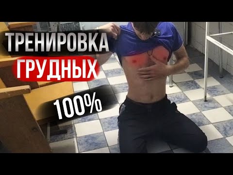 Видео: Как сделать 100 отжиманий | WP 67