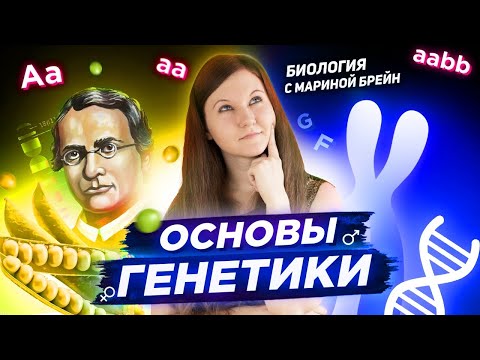 Видео: РЕШЕНИЕ ЗАДАЧ ПО ГЕНЕТИКЕ С НУЛЯ