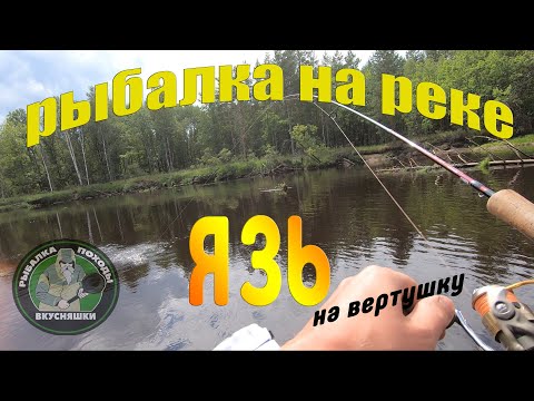 Видео: Рыбалка на реке. Язь на вертушку.