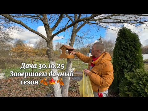 Видео: ДАЧА 30.10.2025 ПОДГОТОВИЛИ УЧАСТОК К ЗИМЕ