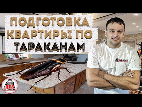 Видео: Как подготовить квартиру перед обработкой от тараканов