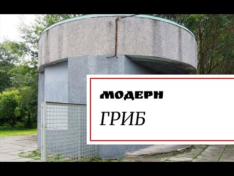 Видео: Модерн - гриб