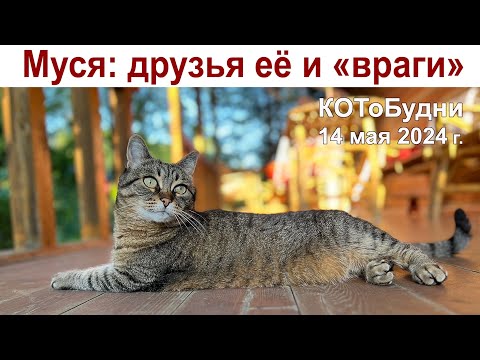 Видео: Жизнь наша и Муси... Сегодня Радоница - вспоминаем наших родных и близких...