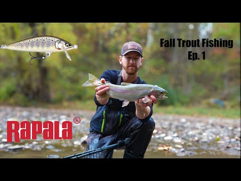 Видео: Ловля агрессивных осенних форелей на джеркбейт!! (Rapala Countdown Elite)