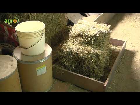 Видео: Зайцефермите в България се топят