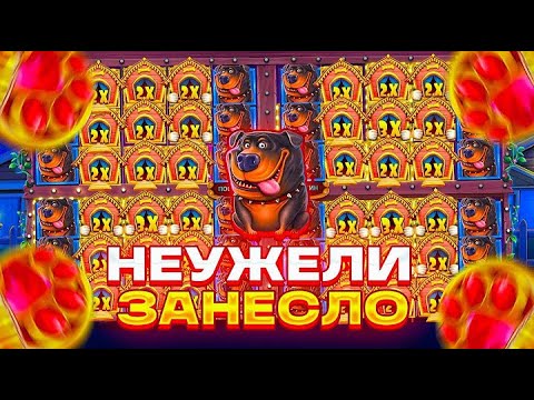 Видео: КУПИЛ МНОГО ДОРОГУЩИХ БОНУСОК В DOG HOUSE MULTIHOLD!!! ПОЙМАЛ МЕГА ЗАНОСЫ !!!