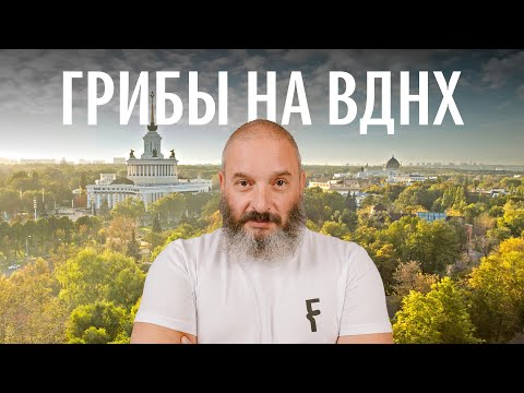 Видео: Шампиньон полевой, мухомор краснеющий, ложноопенок Кандолля. Грибы на ВДНХ. Михаил Вишневский