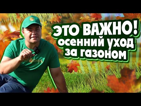 Видео: УХОД ЗА ГАЗОНОМ ОСЕНЬЮ
