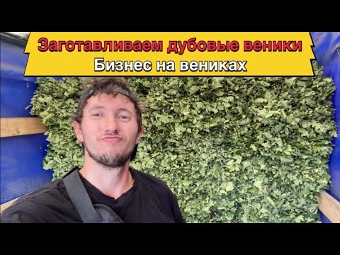 Видео: Бизнес для деревни/ как заработать в деревне 500 т/ дубовые веники