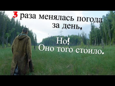 Видео: Поход На Рыбалку К Дальним Таежным Озерам. UHD