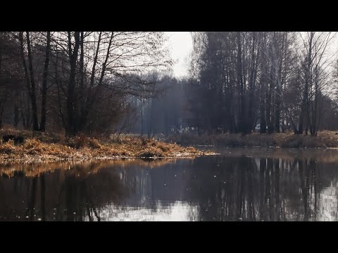 Видео: Карась на Поплавок клює краще чим Літом.Така рань,а місцеві його душать Відрами