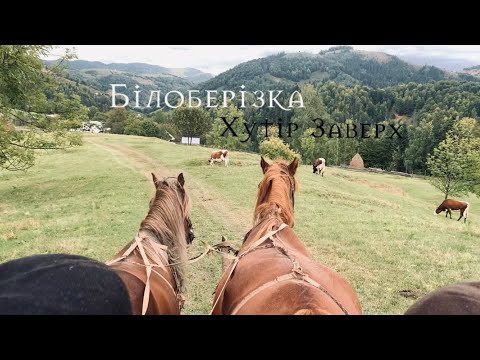 Видео: Експедиція в Білоберізку, верховинські співанки та істинний колорит села.