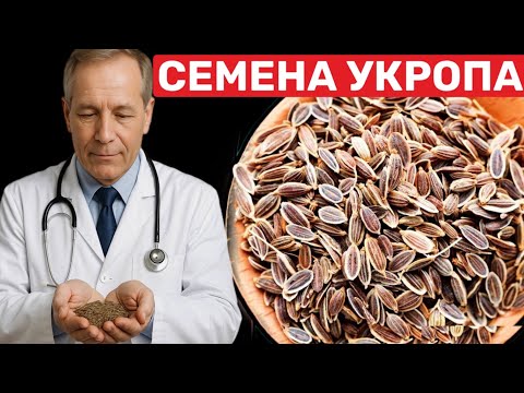 Видео: Врачи в шоке! Всего одна ложка СЕМЯН УКРОПА и организм как Новый.