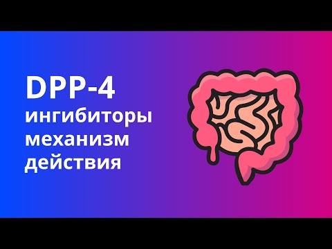 Видео: Препараты от диабета. Механизм действия ингибиторов DPP-4. Как работают блокаторы ДПП-4