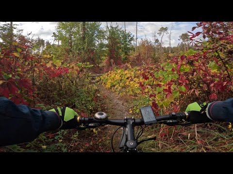 Видео: Велопокатушка №129. В Северный лес