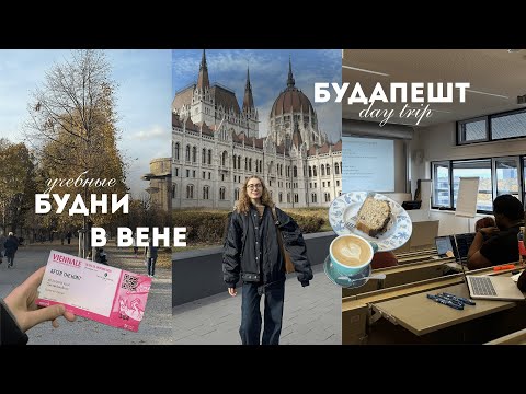 Видео: моя жизнь в Вене & один день в Будапеште | учеба в WU, Viennale и осенние места