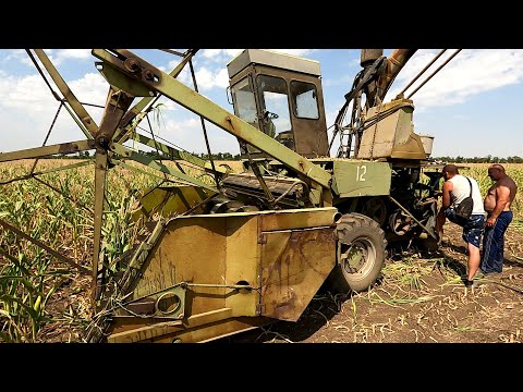 Видео: Уборка кукурузы на силос стартовала! Но не так все просто, как показалось!