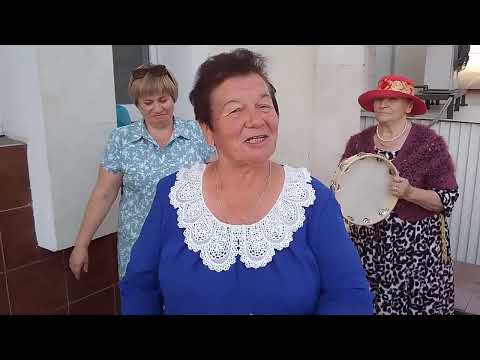 Видео: 10.08.25.Я матанечку плясала и канарейку пела.Липецк.