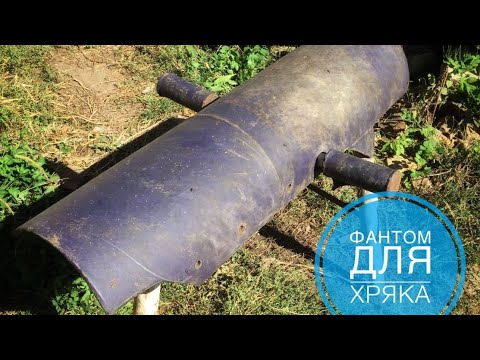 Видео: Фантом (чучело) для взятия семени у хряка. Как приучить кабана к фантому.