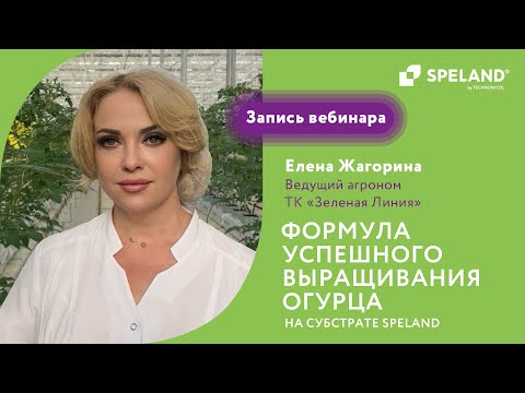 Видео: Вебинар: Формула успешного выращивания огурца на субстрате SPELAND