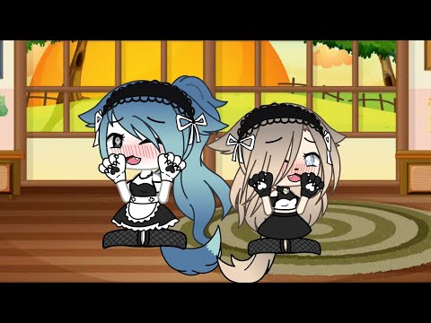 Видео: 24 часа под любовным зельем