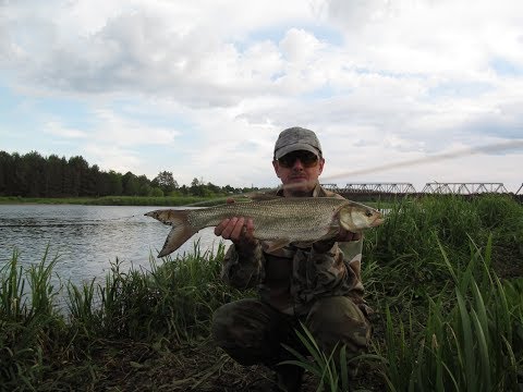 Видео: Испытание нового кораблика   Неожиданный бонус для друга!