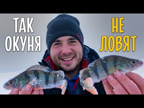 Видео: ЛОВЛЯ ОКУНЯ ЗИМОЙ на мормышку. Мотыль, прикормка и проводки