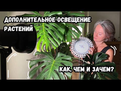 Видео: 3 мифа о фитосвете | дополнительное освещение ваших растений - как, чем и зачем?