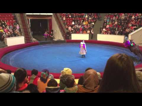 Видео: Джигиты из Чимкента!