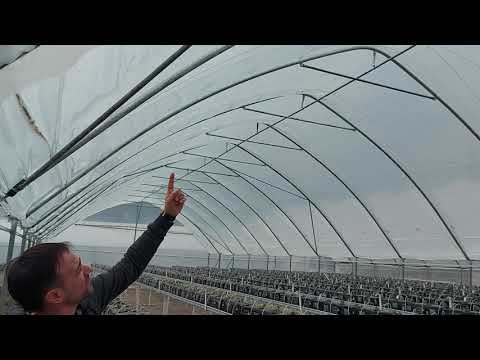 Видео: Производство ягодных туннелей от компании "ХозАгро"🍓