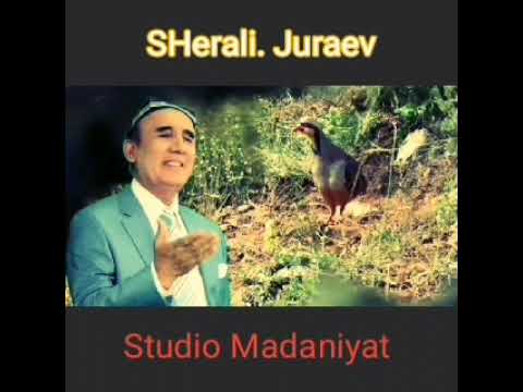 Видео: Шерали Жўраев   Ижросида. Қўшиқлар   Студио Маданият