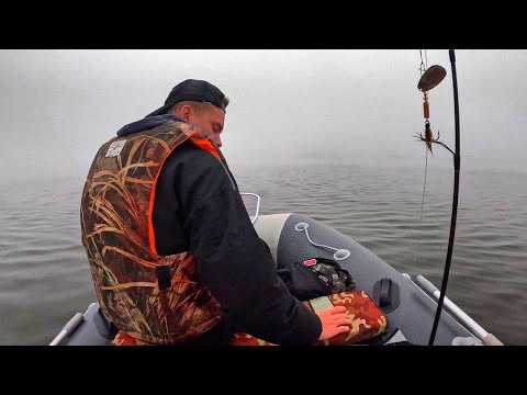 Видео: МОЩНЫЙ туман / РЫБА любит ТАКИЕ БЛЁСНА / Щука