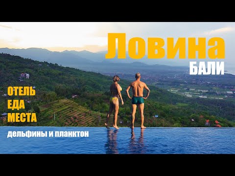 Видео: Путешествие в Ловину на острове Бали. Увидели планктон! Смотрим дельфинов и водопады. Гид по Ловине.