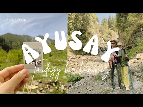 Видео: Таудағы бір күніміз. Алматыдан 15 шақырым жерде ғажайып демалыс. #tau #almaty  #аюсай #алматы  #тау