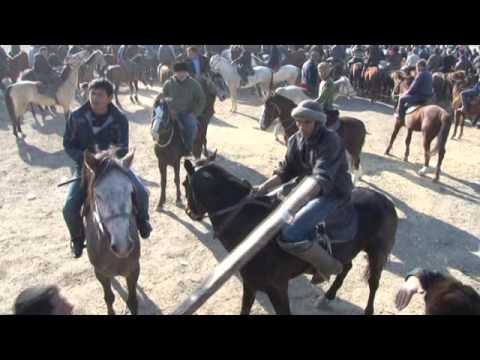 Видео: Узбе Купкарки  самарканд челак 4