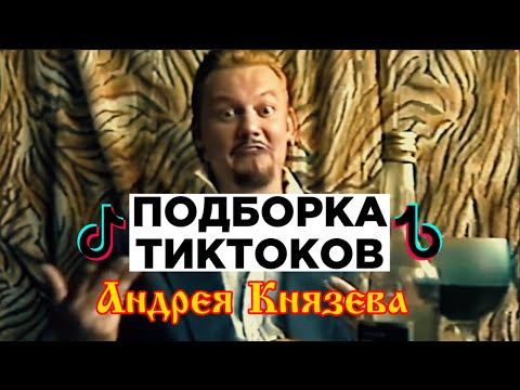 Видео: ВЕСЕЛАЯ ПОДБОРКА ТИКТОКОВ АНДРЕЯ КНЯЗЕВА 🙂 #князь #княzz #андрейкнязев